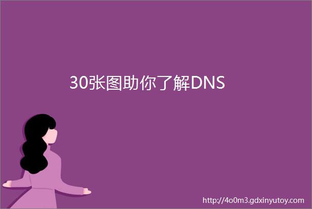 30张图助你了解DNS